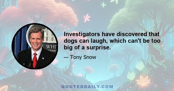 Investigators have discovered that dogs can laugh, which can't be too big of a surprise.