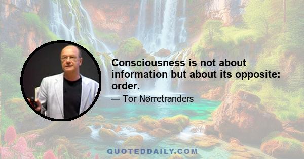 Consciousness is not about information but about its opposite: order.