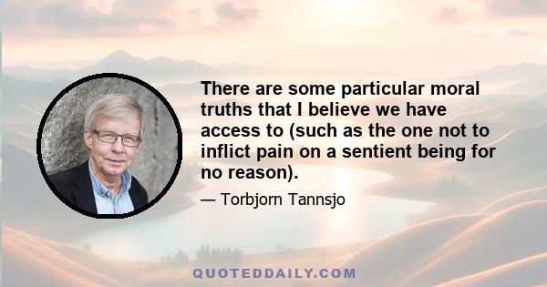 There are some particular moral truths that I believe we have access to (such as the one not to inflict pain on a sentient being for no reason).