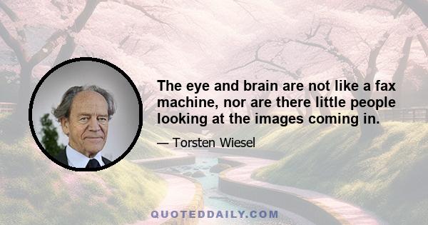 The eye and brain are not like a fax machine, nor are there little people looking at the images coming in.