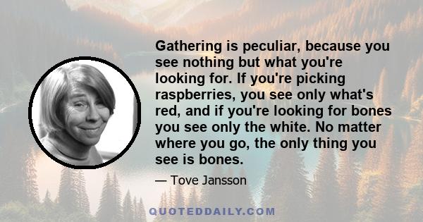 Gathering is peculiar, because you see nothing but what you're looking for. If you're picking raspberries, you see only what's red, and if you're looking for bones you see only the white. No matter where you go, the