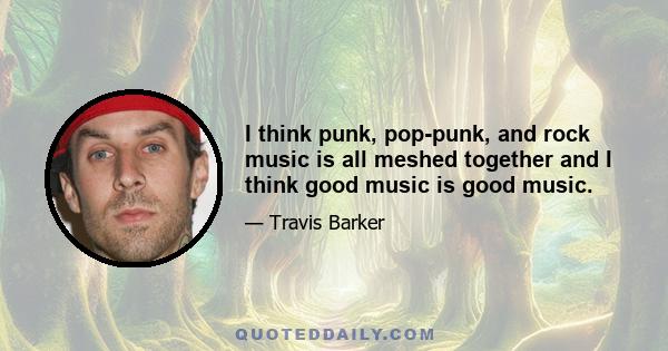 I think punk, pop-punk, and rock music is all meshed together and I think good music is good music.