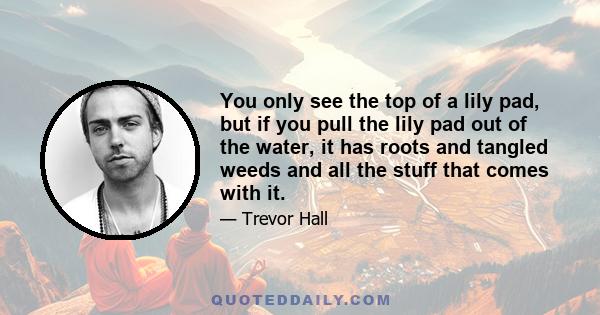 You only see the top of a lily pad, but if you pull the lily pad out of the water, it has roots and tangled weeds and all the stuff that comes with it.