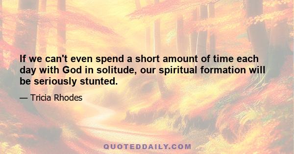 If we can't even spend a short amount of time each day with God in solitude, our spiritual formation will be seriously stunted.