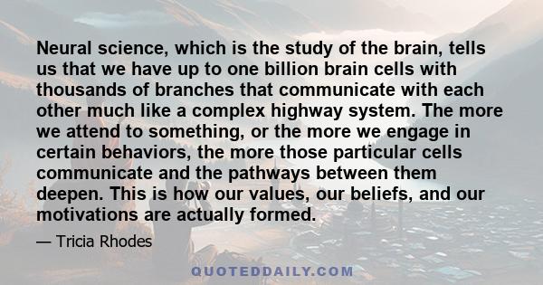 Neural science, which is the study of the brain, tells us that we have up to one billion brain cells with thousands of branches that communicate with each other much like a complex highway system. The more we attend to