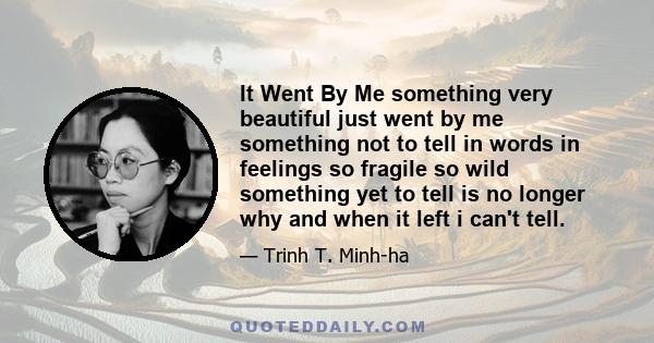 It Went By Me something very beautiful just went by me something not to tell in words in feelings so fragile so wild something yet to tell is no longer why and when it left i can't tell.