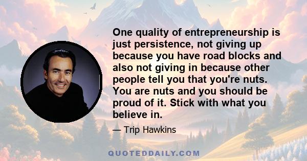 One quality of entrepreneurship is just persistence, not giving up because you have road blocks and also not giving in because other people tell you that you're nuts. You are nuts and you should be proud of it. Stick