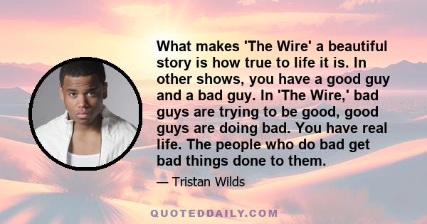 What makes 'The Wire' a beautiful story is how true to life it is. In other shows, you have a good guy and a bad guy. In 'The Wire,' bad guys are trying to be good, good guys are doing bad. You have real life. The