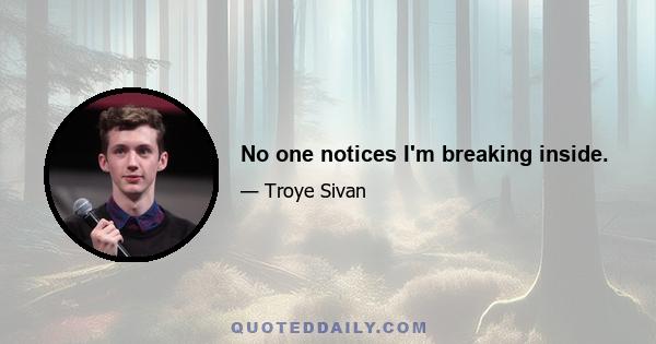 No one notices I'm breaking inside.