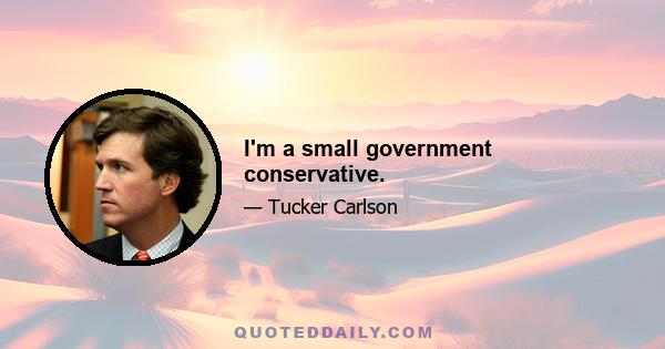 I'm a small government conservative.