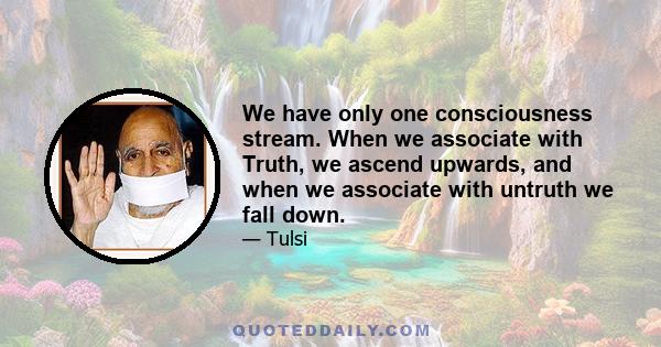 We have only one consciousness stream. When we associate with Truth, we ascend upwards, and when we associate with untruth we fall down.