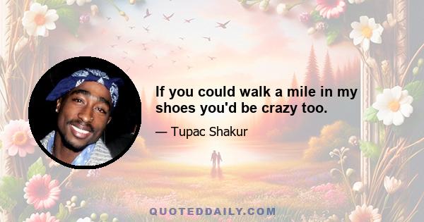 If you could walk a mile in my shoes you'd be crazy too.