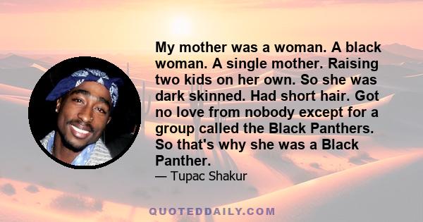 My mother was a woman. A black woman. A single mother. Raising two kids on her own. So she was dark skinned. Had short hair. Got no love from nobody except for a group called the Black Panthers. So that's why she was a