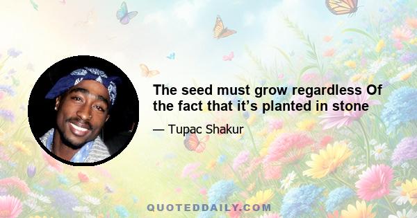 The seed must grow regardless Of the fact that it’s planted in stone