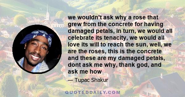 we wouldn't ask why a rose that grew from the concrete for having damaged petals, in turn, we would all celebrate its tenacity, we would all love its will to reach the sun, well, we are the roses, this is the concrete