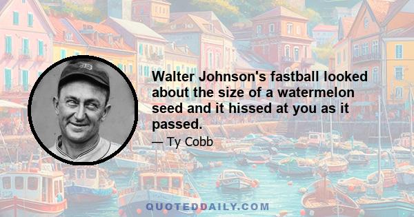 Walter Johnson's fastball looked about the size of a watermelon seed and it hissed at you as it passed.