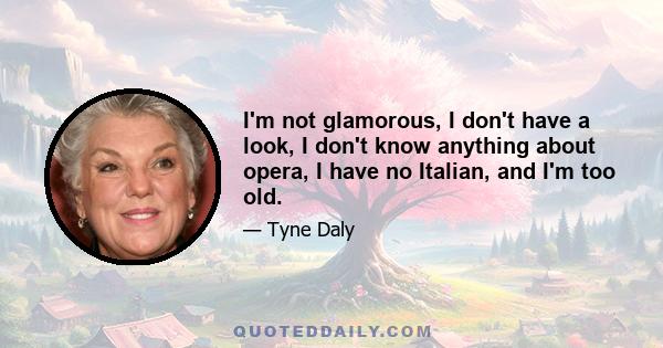 I'm not glamorous, I don't have a look, I don't know anything about opera, I have no Italian, and I'm too old.