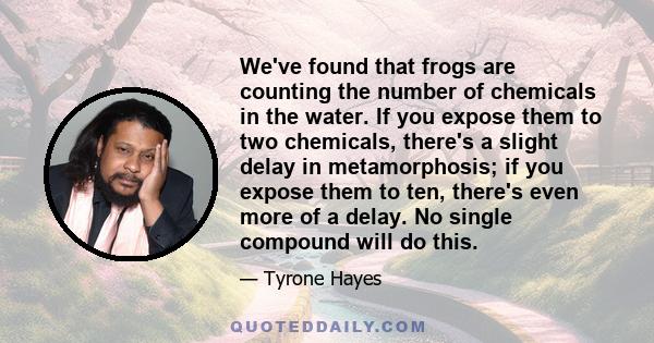 We've found that frogs are counting the number of chemicals in the water. If you expose them to two chemicals, there's a slight delay in metamorphosis; if you expose them to ten, there's even more of a delay. No single