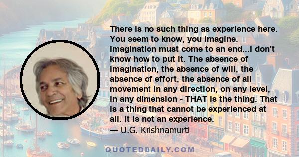 There is no such thing as experience here. You seem to know, you imagine. Imagination must come to an end...I don't know how to put it. The absence of imagination, the absence of will, the absence of effort, the absence 