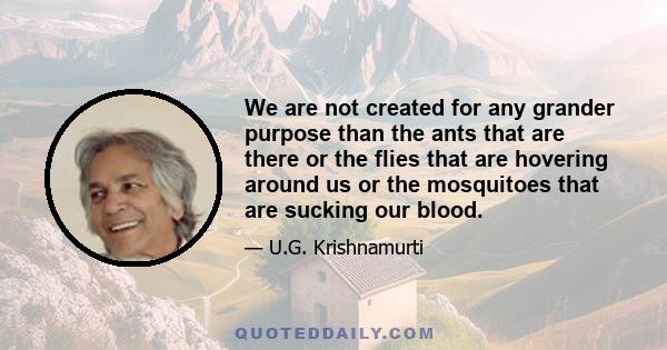 We are not created for any grander purpose than the ants that are there or the flies that are hovering around us or the mosquitoes that are sucking our blood.