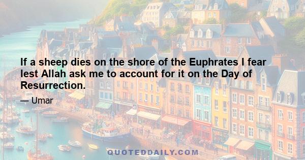 If a sheep dies on the shore of the Euphrates I fear lest Allah ask me to account for it on the Day of Resurrection.