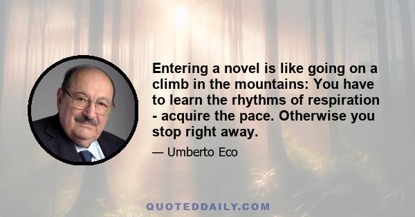 Entering a novel is like going on a climb in the mountains: You have to learn the rhythms of respiration - acquire the pace. Otherwise you stop right away.