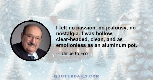 I felt no passion, no jealousy, no nostalgia. I was hollow, clear-headed, clean, and as emotionless as an aluminum pot.