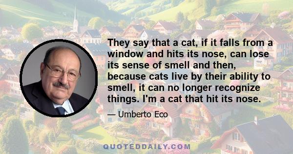 They say that a cat, if it falls from a window and hits its nose, can lose its sense of smell and then, because cats live by their ability to smell, it can no longer recognize things. I'm a cat that hit its nose.