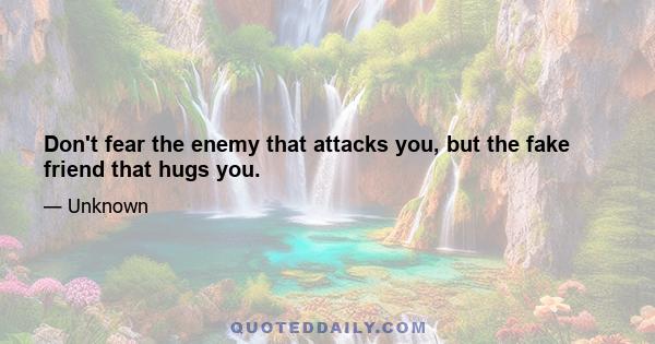 Don't fear the enemy that attacks you, but the fake friend that hugs you.