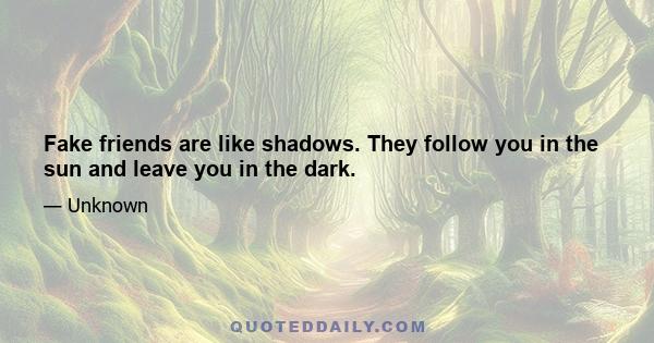 Fake friends are like shadows. They follow you in the sun and leave you in the dark.