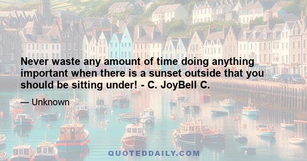 Never waste any amount of time doing anything important when there is a sunset outside that you should be sitting under! - C. JoyBell C.