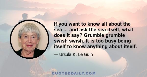 If you want to know all about the sea ... and ask the sea itself, what does it say? Grumble grumble swish swish. It is too busy being itself to know anything about itself.