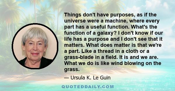 Things don't have purposes, as if the universe were a machine, where every part has a useful function. What's the function of a galaxy? I don't know if our life has a purpose and I don't see that it matters. What does