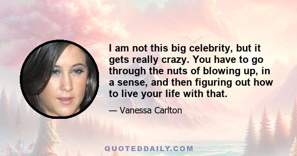 I am not this big celebrity, but it gets really crazy. You have to go through the nuts of blowing up, in a sense, and then figuring out how to live your life with that.