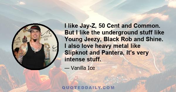 I like Jay-Z, 50 Cent and Common. But I like the underground stuff like Young Jeezy, Black Rob and Shine. I also love heavy metal like Slipknot and Pantera, It's very intense stuff.