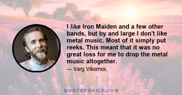 I like Iron Maiden and a few other bands, but by and large I don't like metal music. Most of it simply put reeks. This meant that it was no great loss for me to drop the metal music altogether.