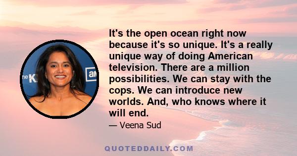 It's the open ocean right now because it's so unique. It's a really unique way of doing American television. There are a million possibilities. We can stay with the cops. We can introduce new worlds. And, who knows