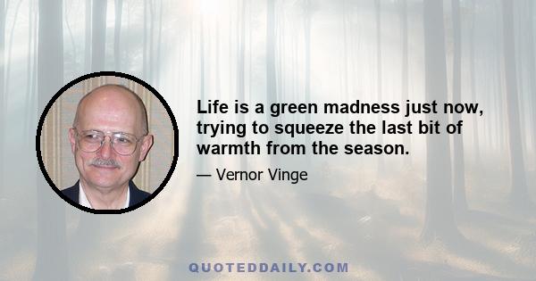 Life is a green madness just now, trying to squeeze the last bit of warmth from the season.