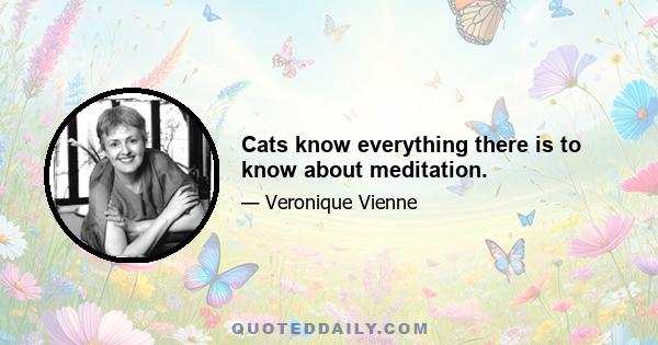 Cats know everything there is to know about meditation.