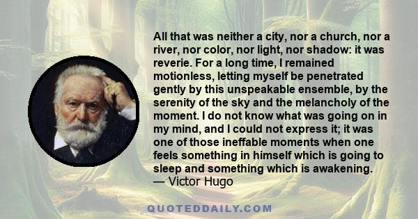 All that was neither a city, nor a church, nor a river, nor color, nor light, nor shadow: it was reverie. For a long time, I remained motionless, letting myself be penetrated gently by this unspeakable ensemble, by the