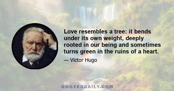 Love resembles a tree: it bends under its own weight, deeply rooted in our being and sometimes turns green in the ruins of a heart.