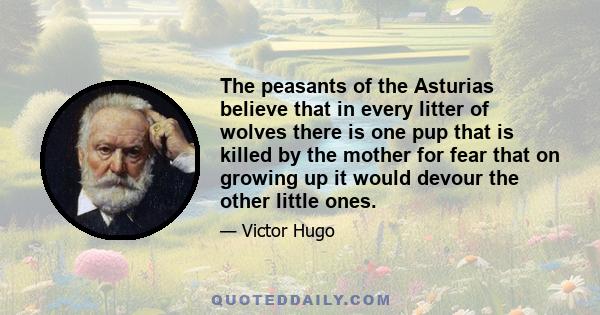 The peasants of the Asturias believe that in every litter of wolves there is one pup that is killed by the mother for fear that on growing up it would devour the other little ones.