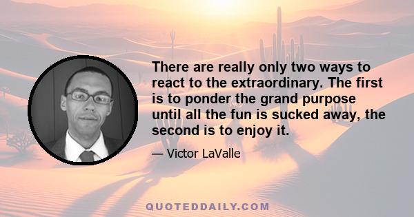 There are really only two ways to react to the extraordinary. The first is to ponder the grand purpose until all the fun is sucked away, the second is to enjoy it.