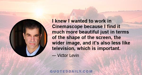 I knew I wanted to work in Cinemascope because I find it much more beautiful just in terms of the shape of the screen, the wider image, and it's also less like television, which is important.