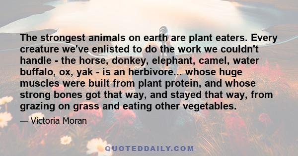 The strongest animals on earth are plant eaters. Every creature we've enlisted to do the work we couldn't handle - the horse, donkey, elephant, camel, water buffalo, ox, yak - is an herbivore... whose huge muscles were