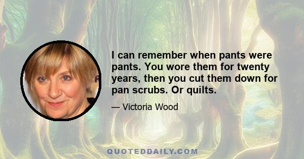 I can remember when pants were pants. You wore them for twenty years, then you cut them down for pan scrubs. Or quilts.