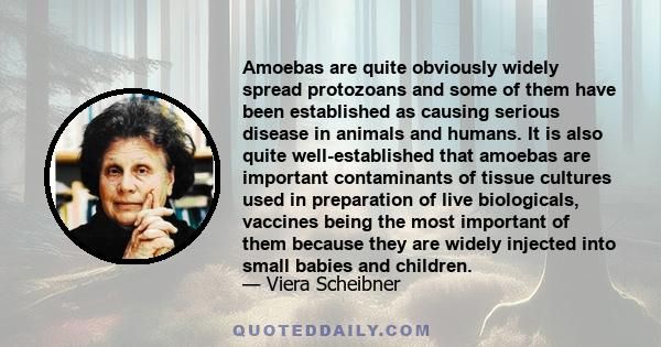 Amoebas are quite obviously widely spread protozoans and some of them have been established as causing serious disease in animals and humans. It is also quite well-established that amoebas are important contaminants of