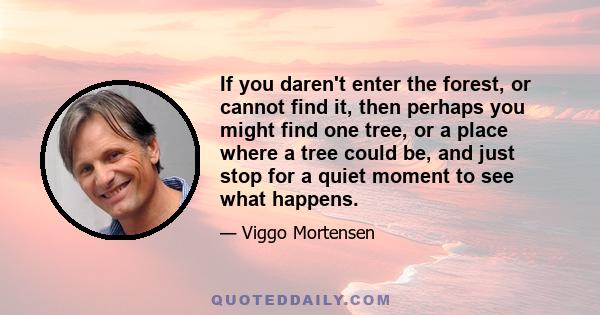 If you daren't enter the forest, or cannot find it, then perhaps you might find one tree, or a place where a tree could be, and just stop for a quiet moment to see what happens.