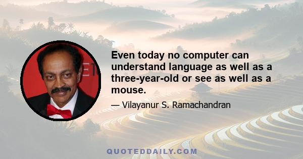 Even today no computer can understand language as well as a three-year-old or see as well as a mouse.