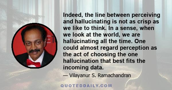 Indeed, the line between perceiving and hallucinating is not as crisp as we like to think. In a sense, when we look at the world, we are hallucinating all the time. One could almost regard perception as the act of